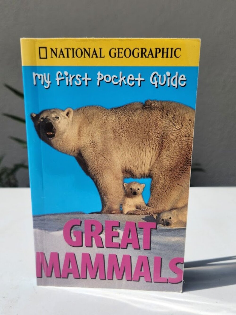 National Geographic My First Pocket Guide Great Mammals Book  Covers 35 differen